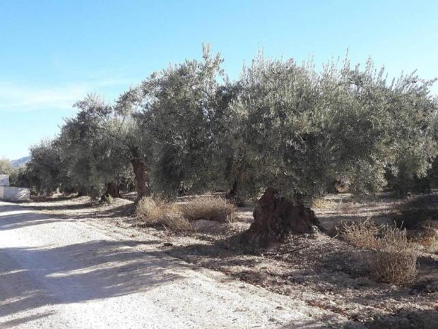 Terreno en venta en Comarca de Huéscar, Andalucía