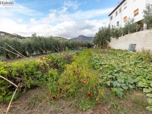 Terreno en venta en Comarca de la Vega de Granada, Andalucía