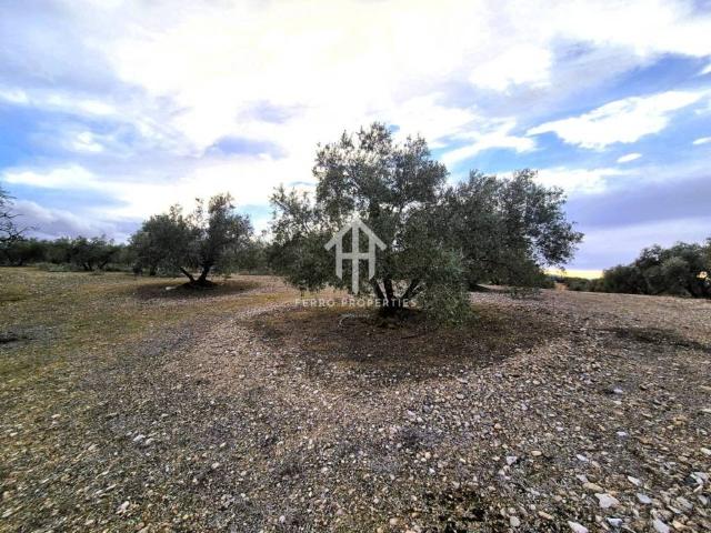 Terreno en venta en Comarca de Loja, Andalucía