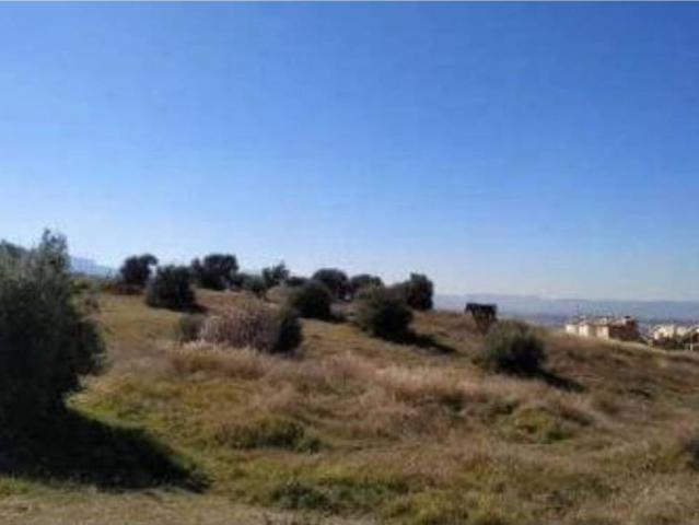 Terreno en venta en Comarca de la Vega de Granada, Andalucía