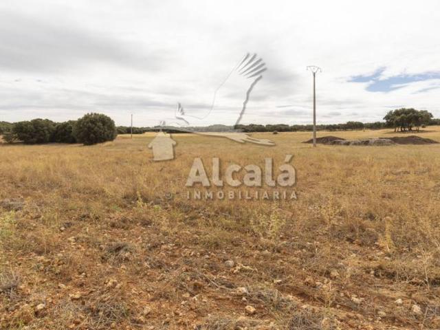 Terreno en venta en Hueva, Castilla-La Mancha