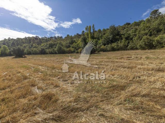 Terreno en venta en Hueva, Castilla-La Mancha