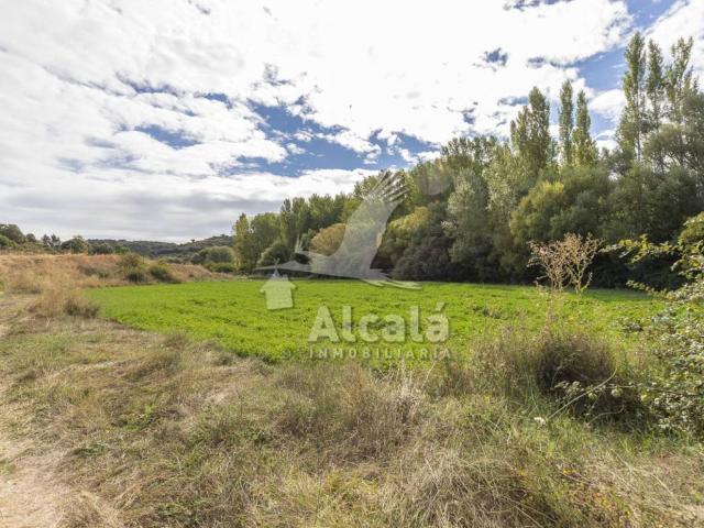 Terreno en venta en Hueva, Castilla-La Mancha