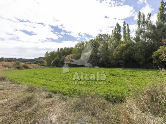 Terreno en venta en Hueva, Castilla-La Mancha