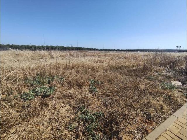 Terreno en venta en Huévar Del Aljarafe, Andalucía