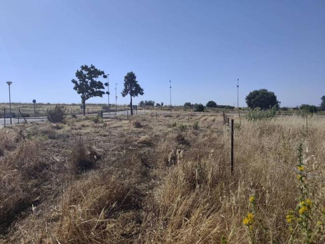 Terreno en venta en Huévar Del Aljarafe, Andalucía