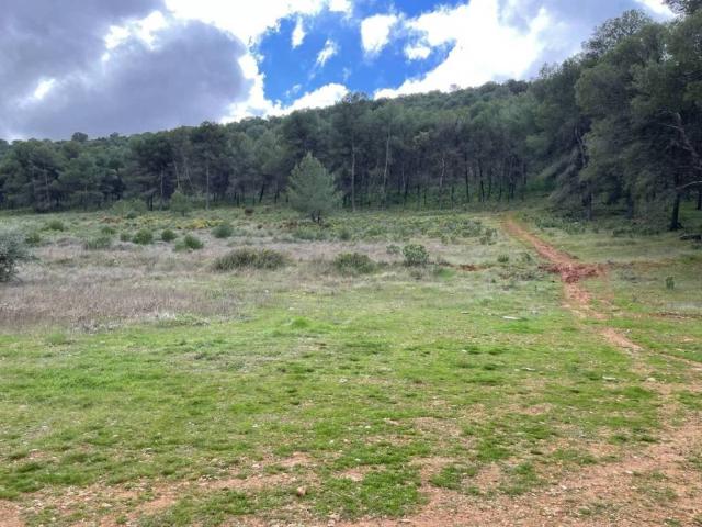 Terreno en venta en Antequera, Andalucía