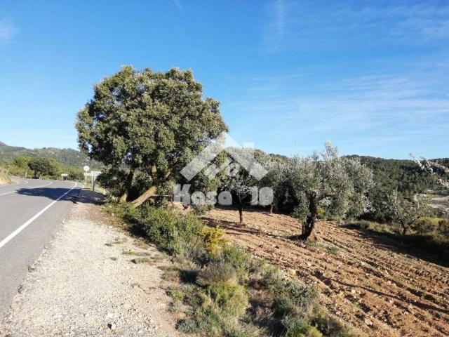 Terreno en venta en Ibi, Alacant / Alicante