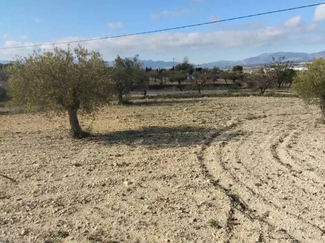 Terreno en venta en l'Alcoià, Valencia