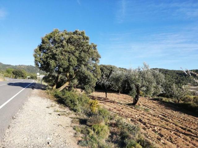 Terreno en venta en Ibi, Valencia
