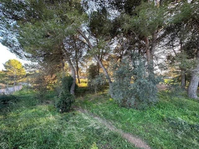 Terreno en venta en Anoia, Catalunya