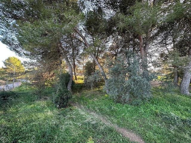 Terreno en venta en Anoia, Catalunya