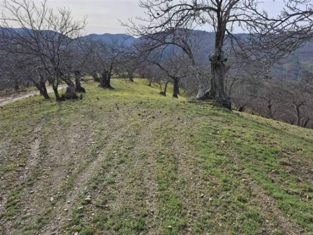 Terreno en venta en Serranía de Ronda, Andalucía