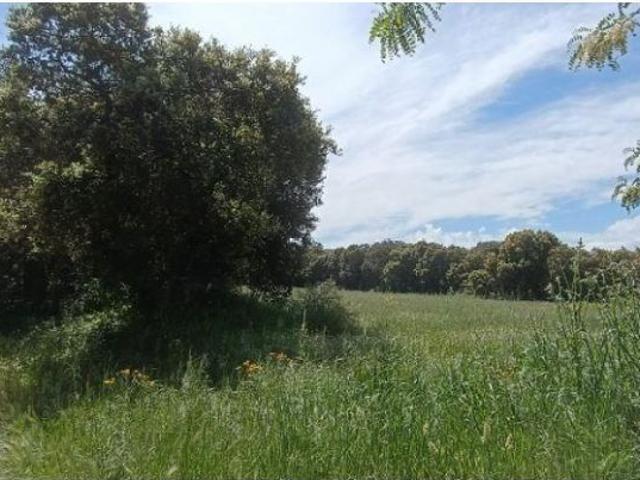 Local Comercial en venta en Estellerria, Navarra