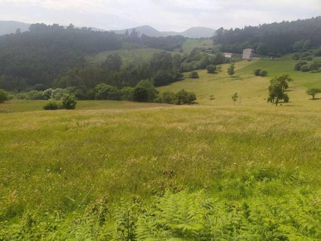 Terreno en venta en Illas, Asturias
