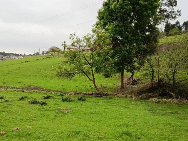 Terreno en venta en Illas, Asturias