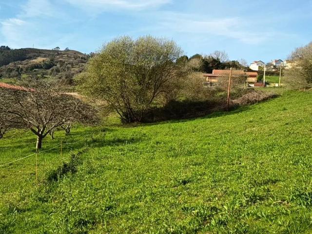 Terreno en venta en Illas, Asturias