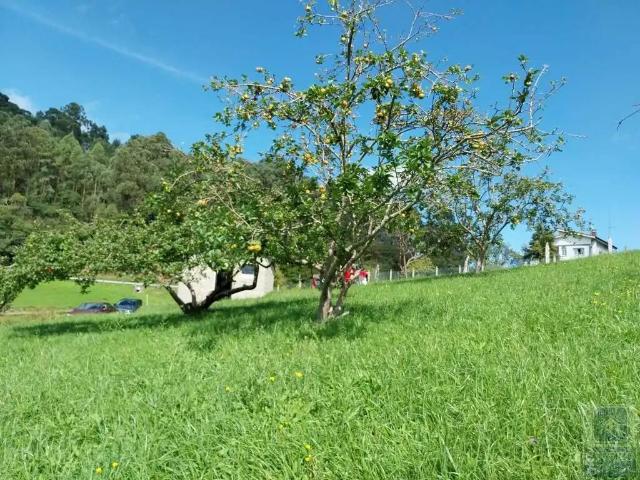 Terreno en venta en Illas, Asturias