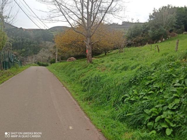 Terreno en venta en Illas, Asturias