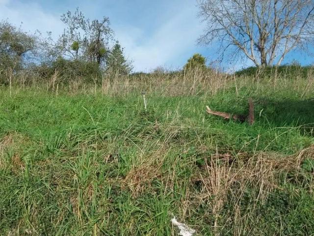 Terreno en venta en Illas, Asturias