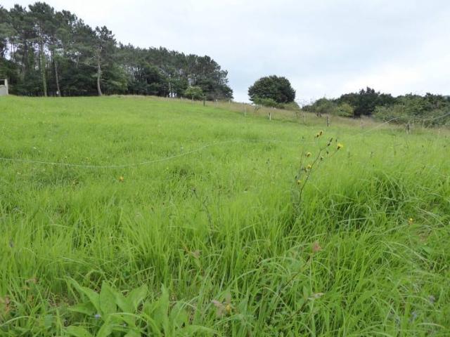 Terreno en venta en Illas, Asturias