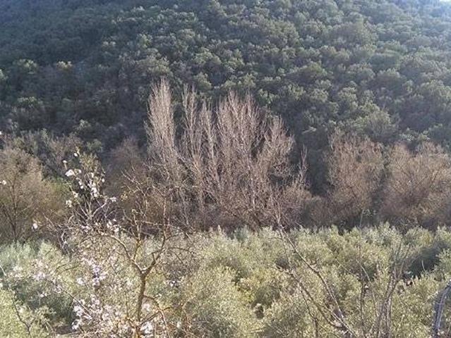 Terreno en venta en Comarca de Loja, Andalucía