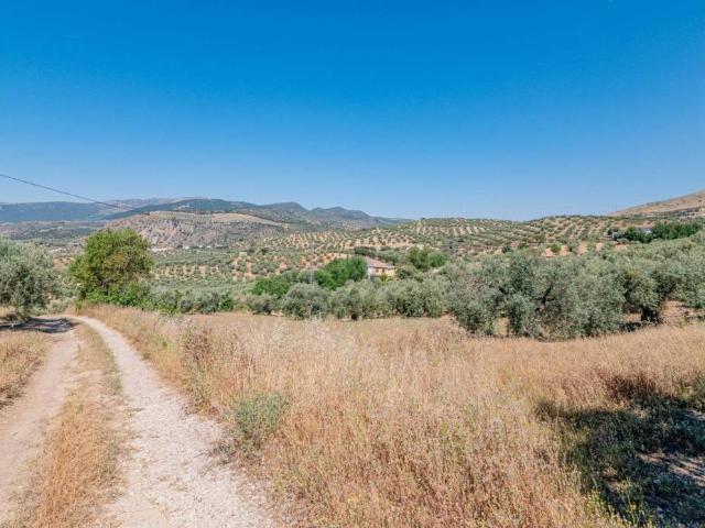 Terreno en venta en Comarca de Loja, Andalucía