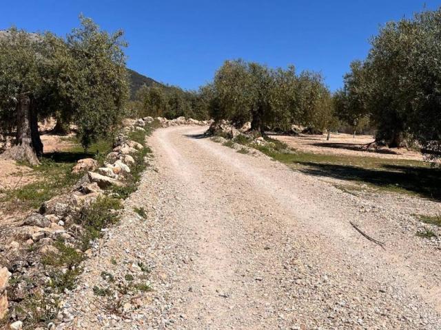 Terreno en venta en Comarca de Loja, Andalucía