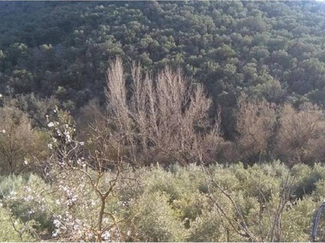 Terreno en venta en Comarca de Loja, Andalucía