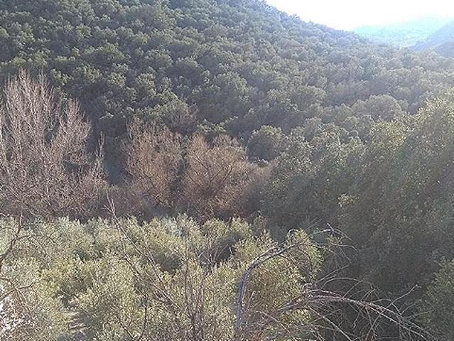 Terreno en venta en Comarca de Loja, Andalucía