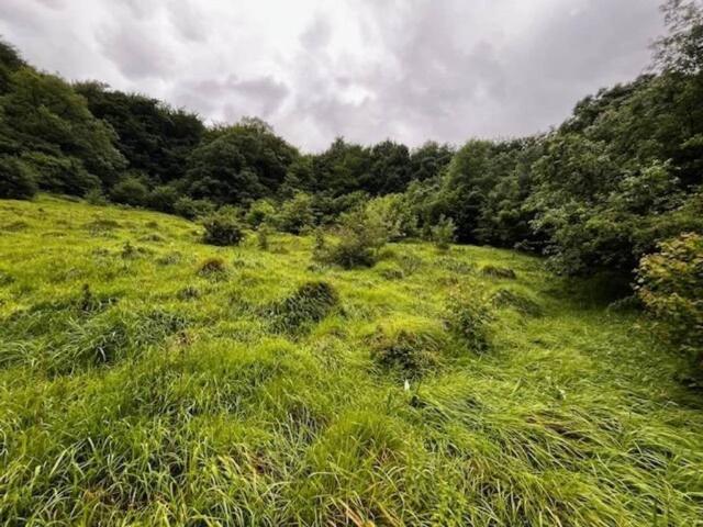 Terreno en venta en Larraun-Leitzaldea, Navarra