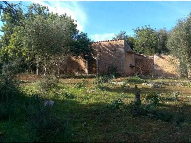 Terreno en venta en Pla de Mallorca, Baleares