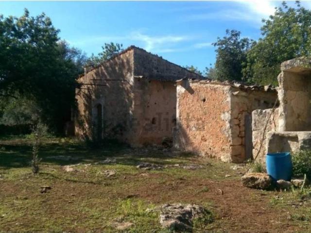 Terreno en venta en Pla de Mallorca, Baleares