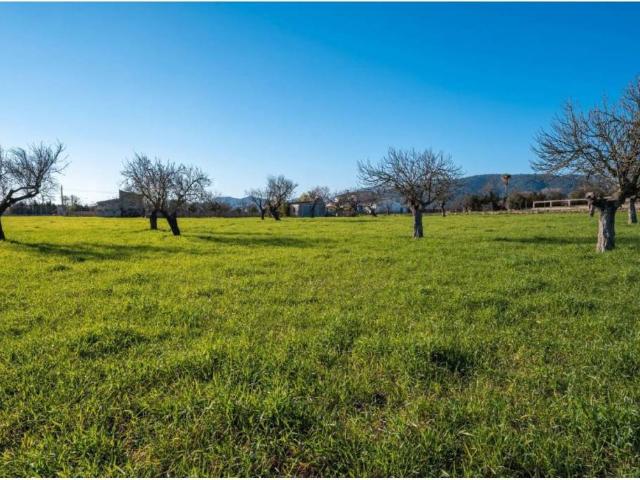 Terreno en venta en Raiguer, Baleares