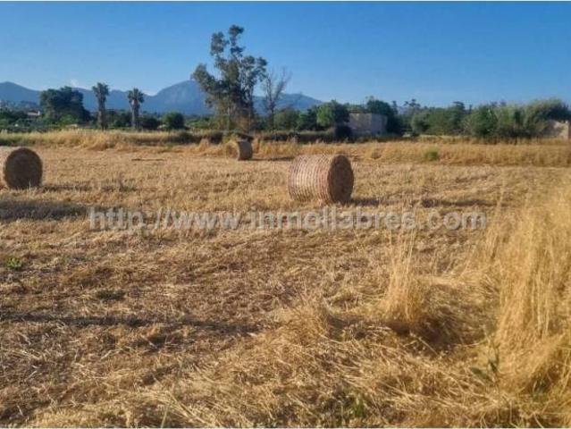 Terreno en venta en Raiguer, Baleares