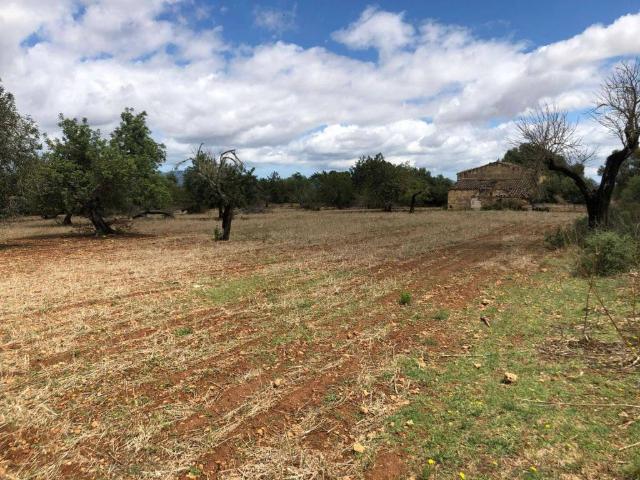 Terreno en venta en Raiguer, Baleares
