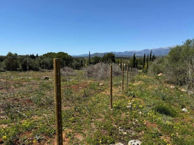 Terreno en venta en Pla de Mallorca, Baleares