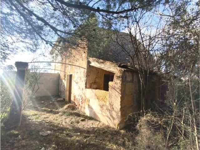 Terreno en venta en Raiguer, Baleares