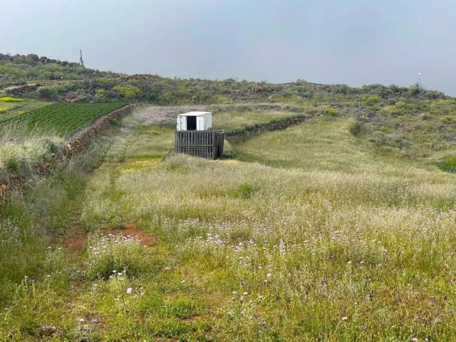 Terreno en venta en Ingenio, Canarias