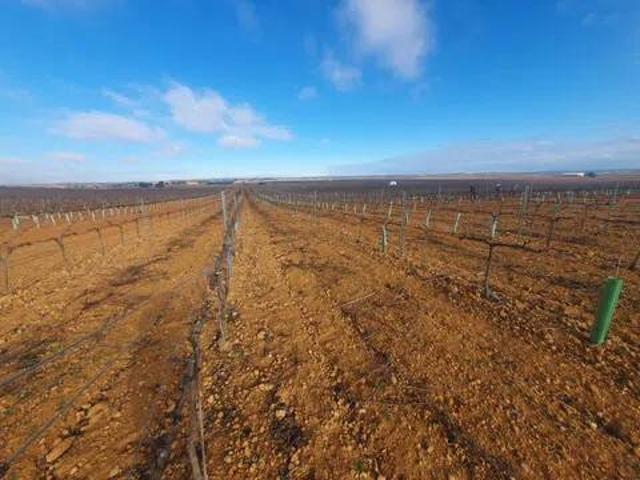 Terreno en venta en Iniesta, Castilla-La Mancha