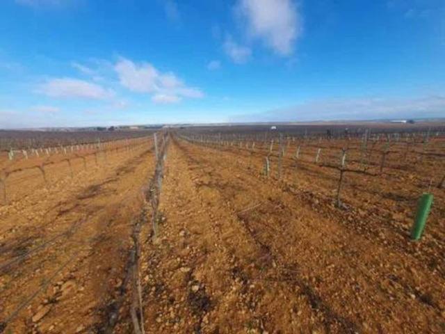 Terreno en venta en Iniesta, Castilla-La Mancha