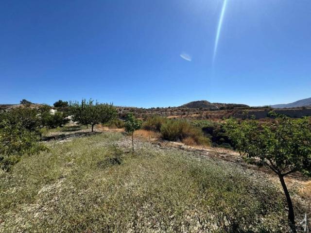 Terreno en venta en Instinción, Andalucía