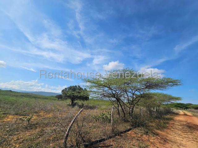 Propiedad en venta en Coro, Falcón