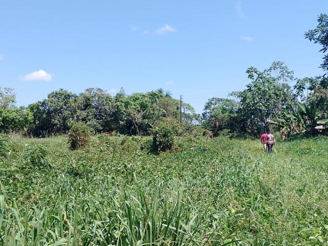 Terreno venta en San Juan Bautista, Loreto