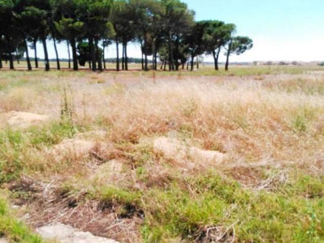 Terreno en venta en Íscar