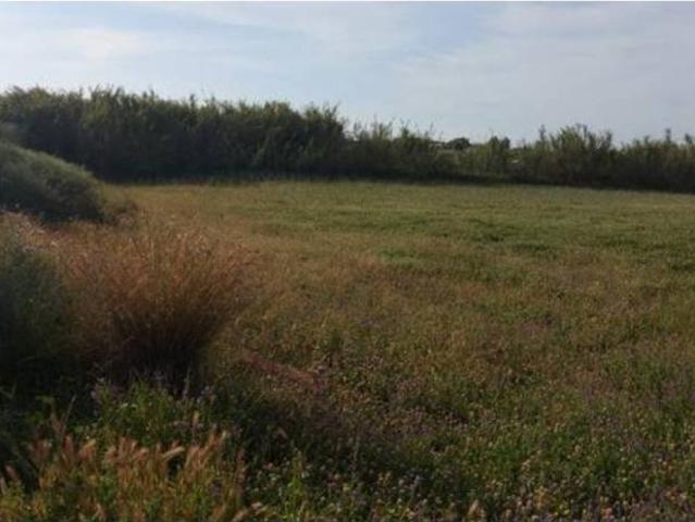 Terreno en venta en Costa Occidental, Andalucía