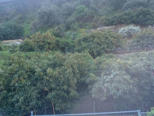 Terreno en venta en Sierra de las Nieves, Andalucía