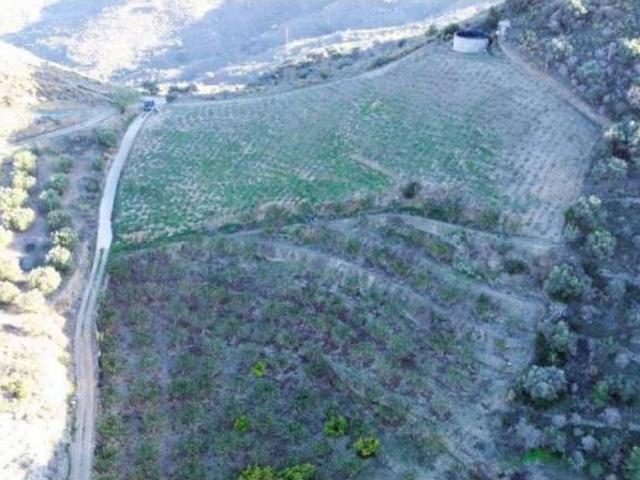 Terreno en venta en Comarca de la Costa Granadina, Andalucía