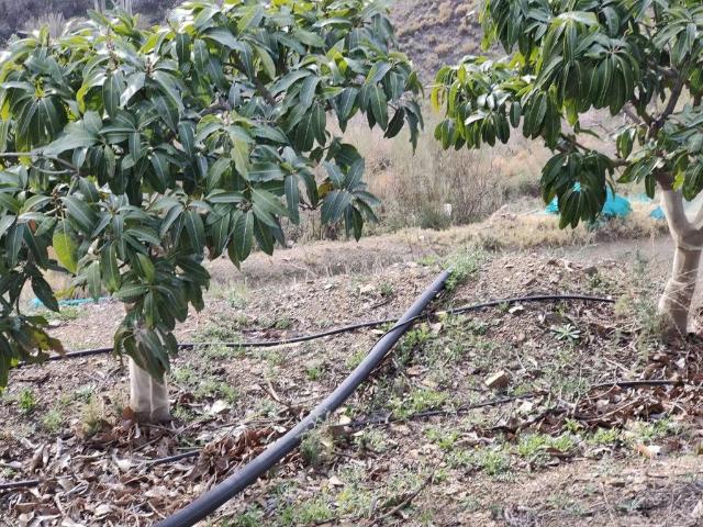 Terreno en venta en Comarca de la Costa Granadina, Andalucía