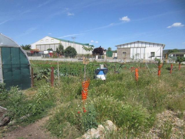 Terreno en venta en Ituero De Azaba, Castilla y León